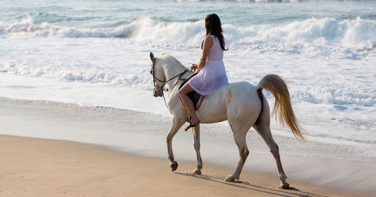 cape town beaches - Lady Riding a horse on the beach