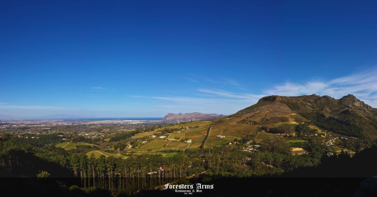 constantia nek feature image