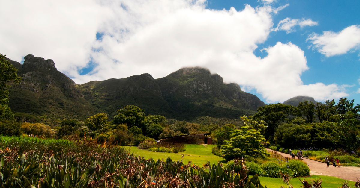 Kirstenbosch Gardens with Constantia Nek in the background