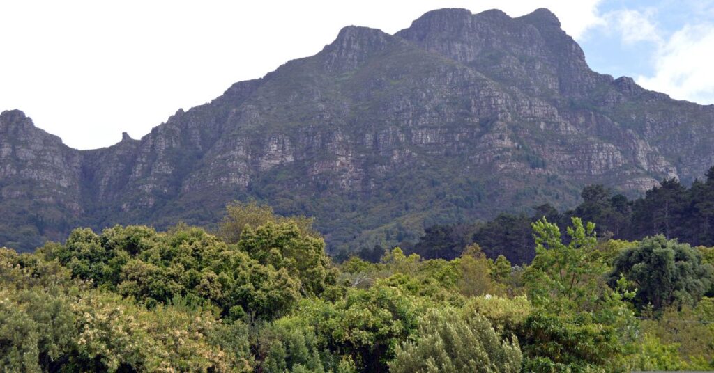 Nature Reserve in Cape Town