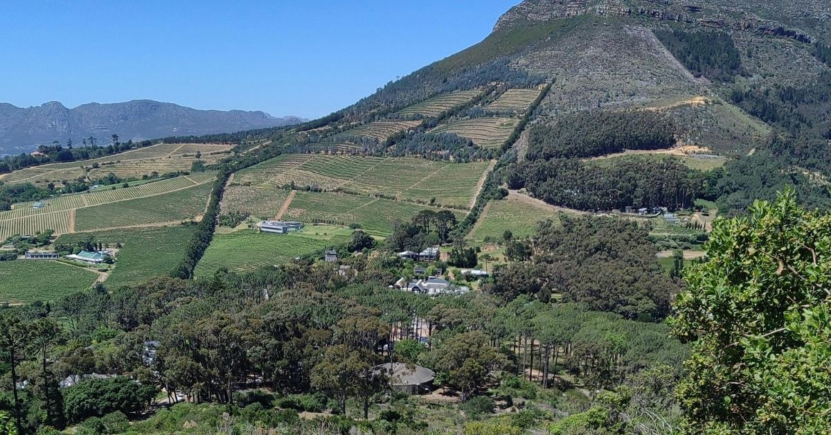 View from constantia nek