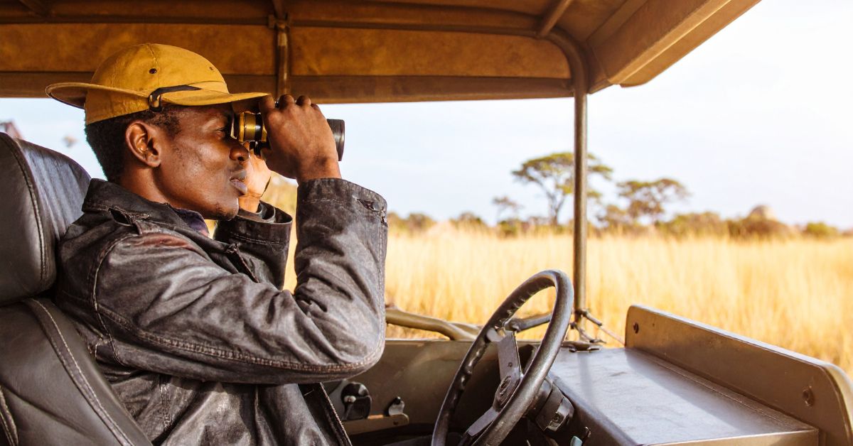 Safari Guide in his car using binoculars