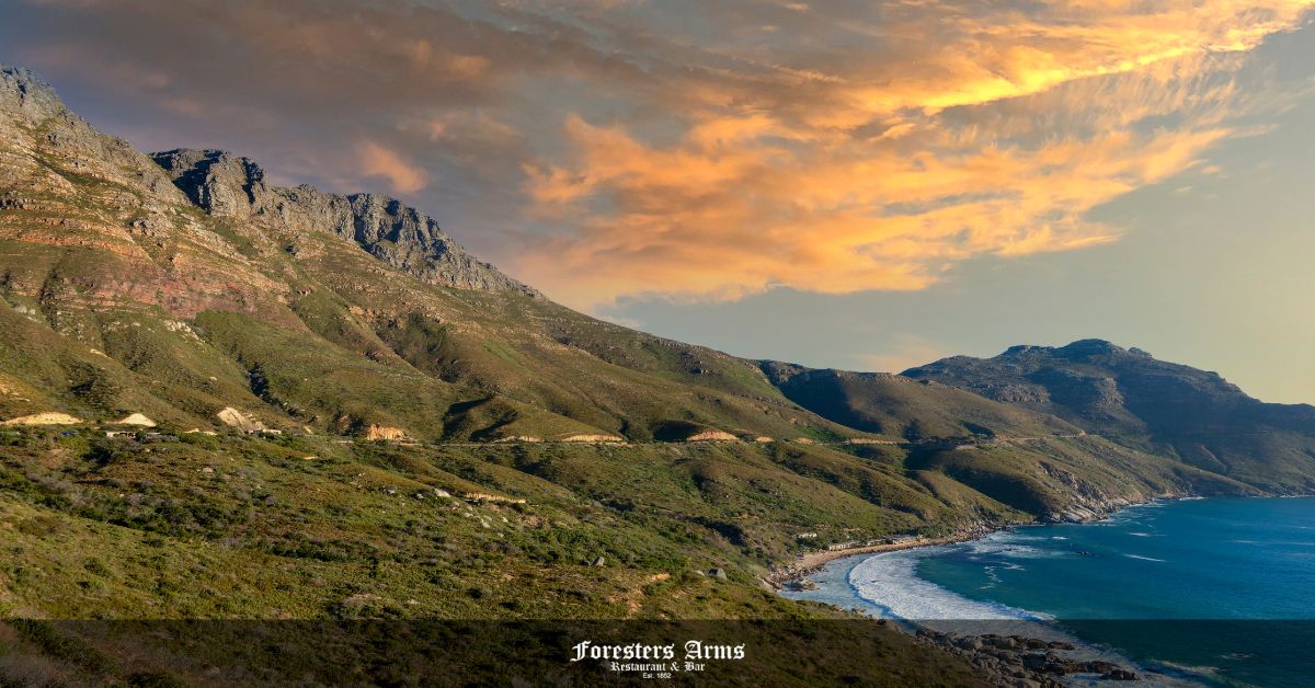 Chapman's Peak Drive Feature Image