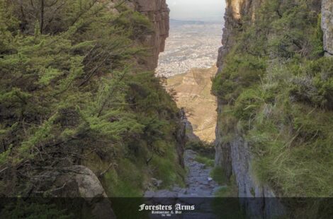 platteklip gorge feature image