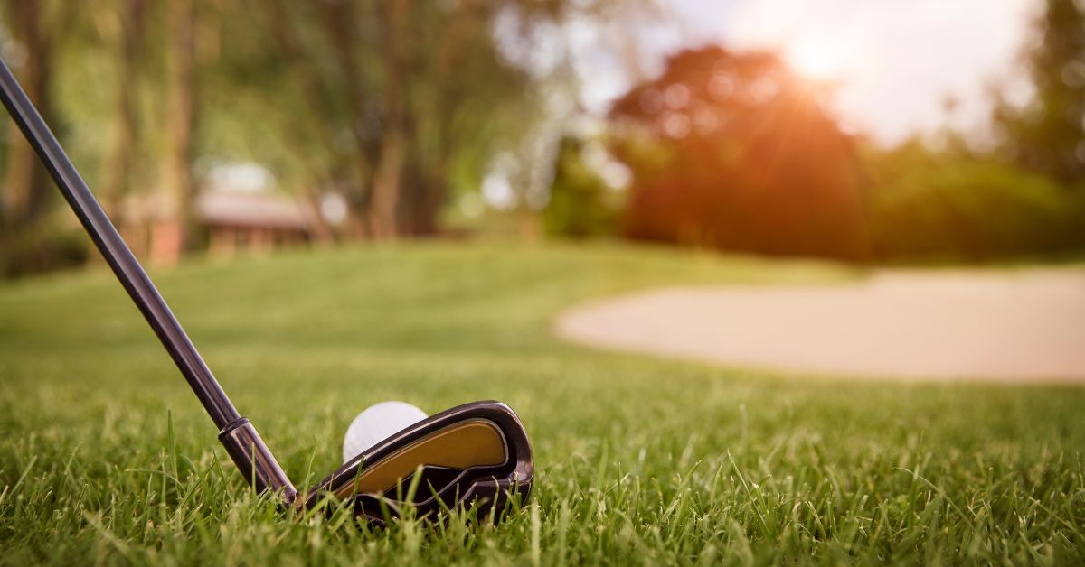rondebosch golf club - Close up of a golf club and ball