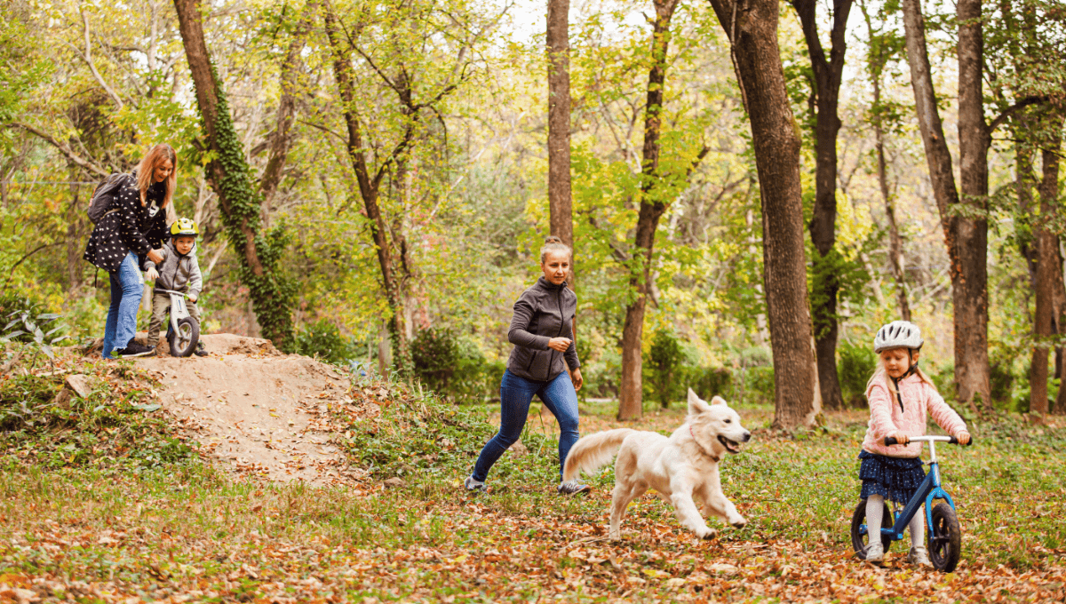 Hiking trails in Cape Town that are fun for the whole family