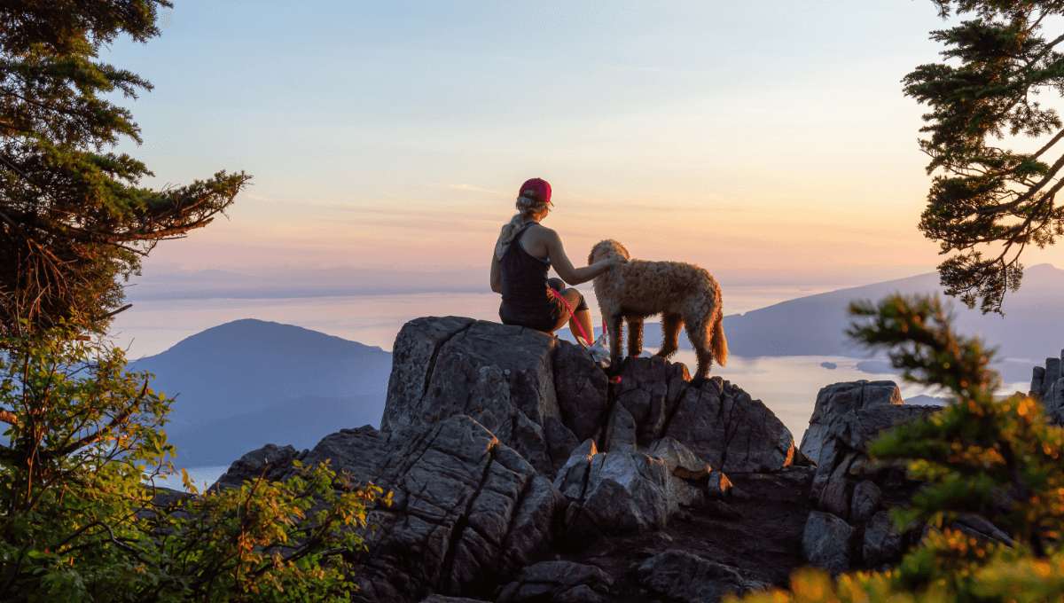 Dog friendly hikes in Cape Town