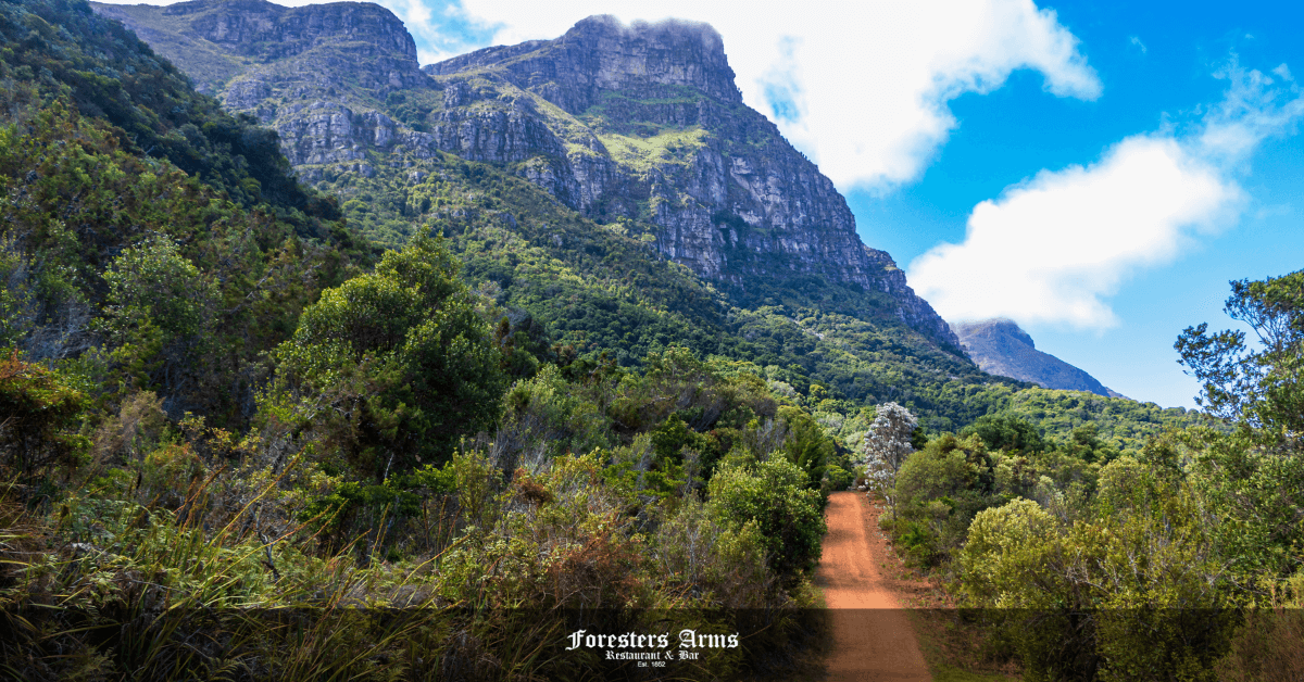 Hidden Gems in Cape Town: Hiking trials and more