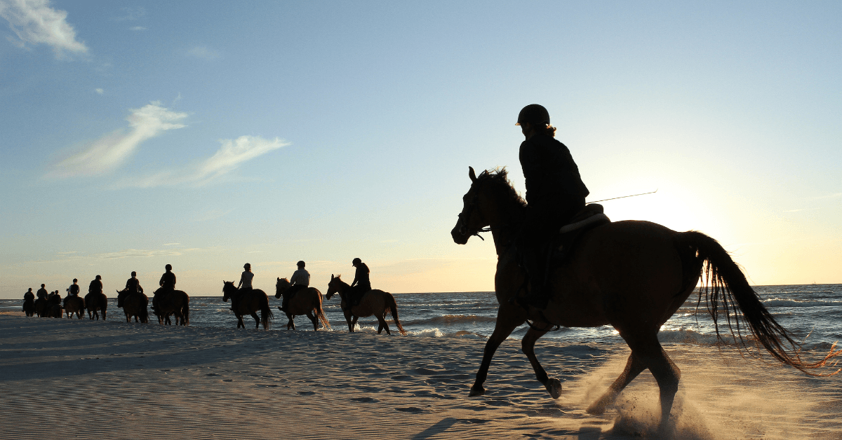 A guided group of horseback riders riding on the beach in Cape Town 