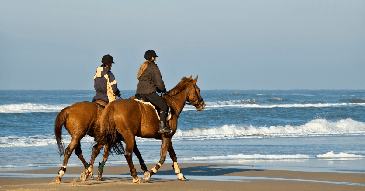 Two people horseback riding on the beach 