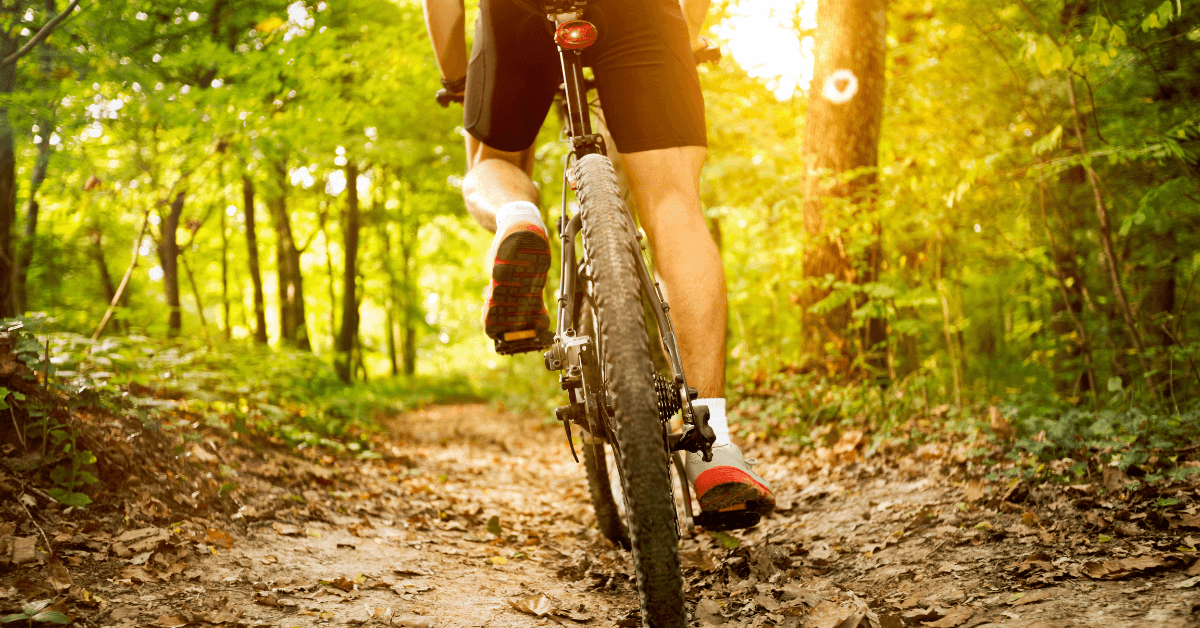 A Person Mountain Biking through Table Mountain Park in Cape Town
