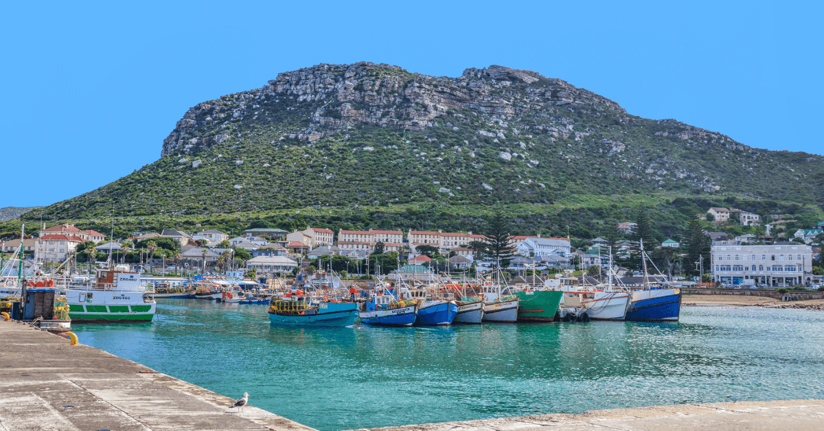 Kalk Bay harbour 