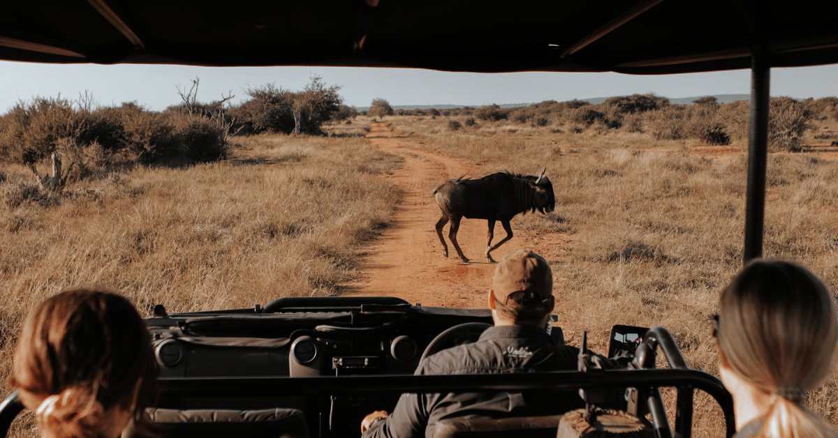 Guests on a game drive spotting wildlife at West Coast Private Game Reserve 