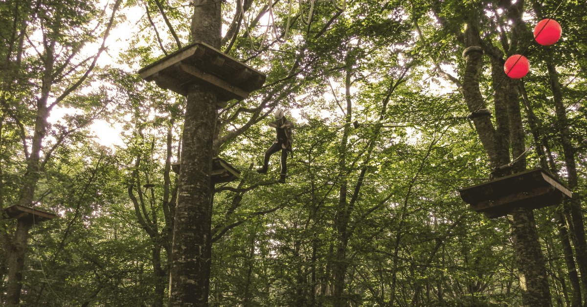 A Person doing a Acrobranch course in Constantia for a Fun Year-End Function