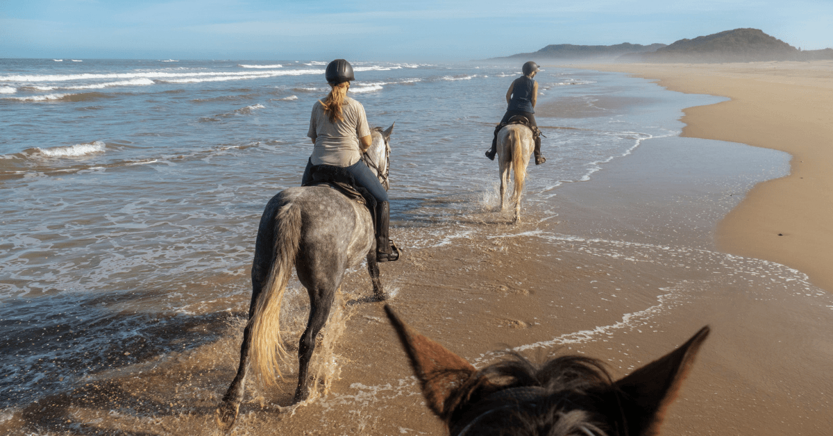 Horse riding along Noordhoek Beach in Cape Town 