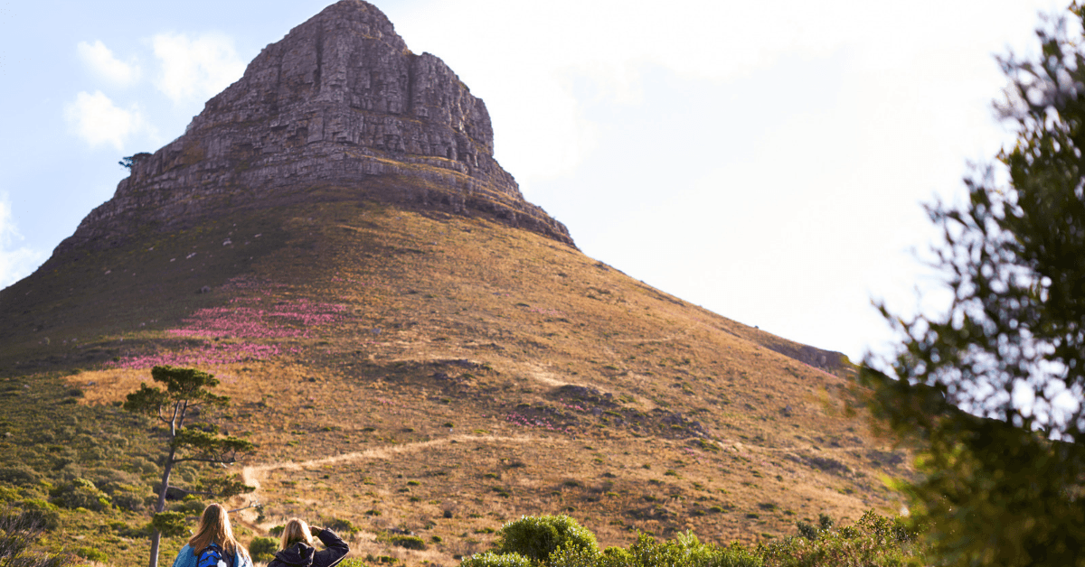 Trail up to Lions Heads Hike in Cape Town 