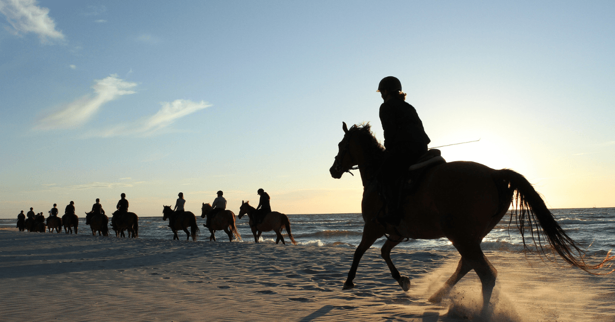 Horse riding along a Cape Town beach at sunset 